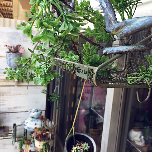 edenさんの実例写真