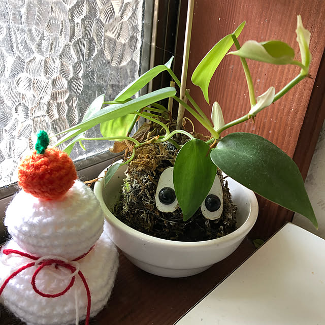 kaeruさんの実例写真
