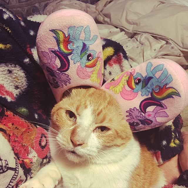 369mamaさんの実例写真