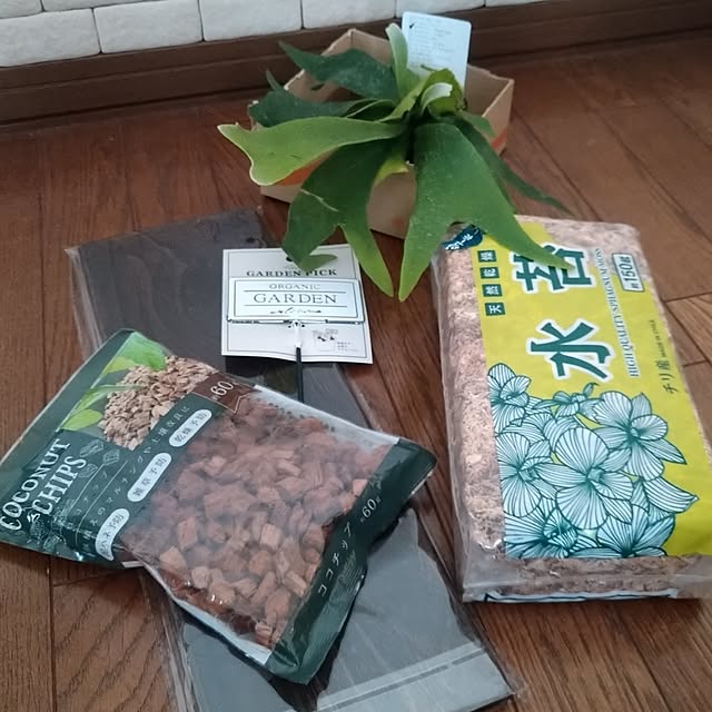 nippopoさんの部屋