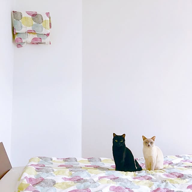 izon119さんの実例写真