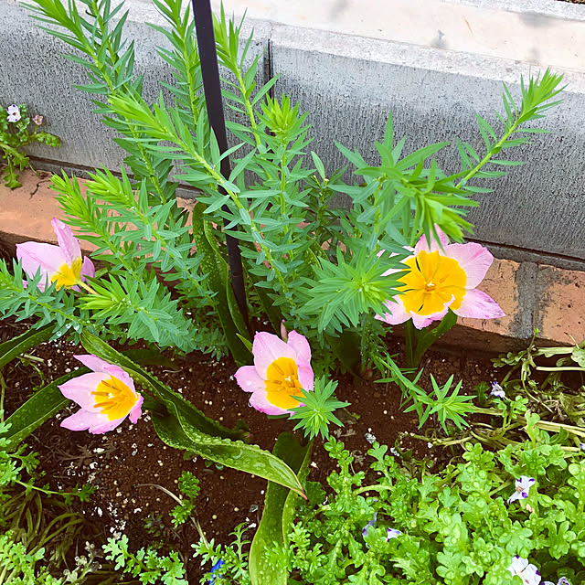 tomoさんの部屋