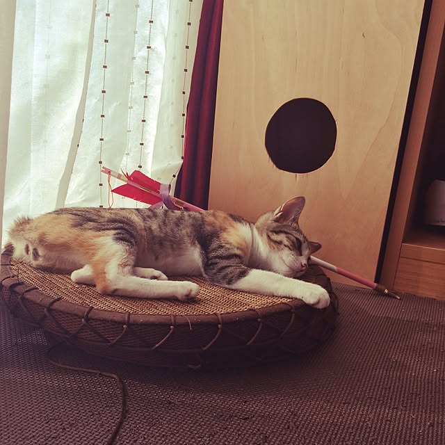 Mayさんの実例写真