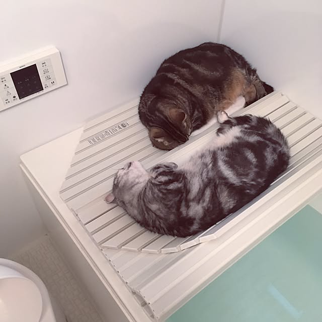 mikomaruさんの実例写真