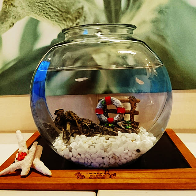jinmamaさんの実例写真