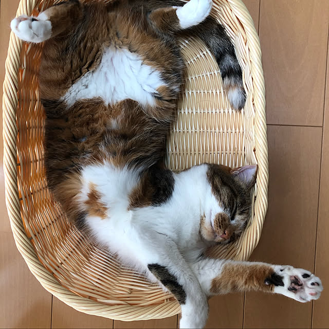 runanoaさんの実例写真