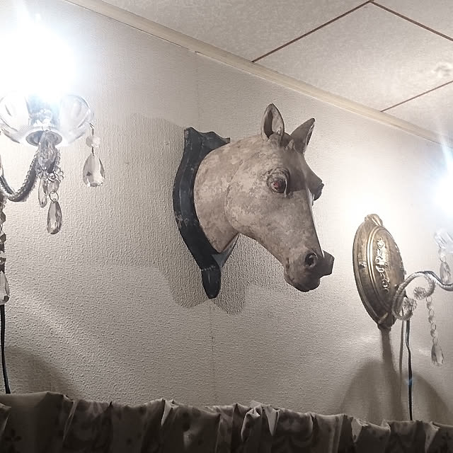 copippiさんの実例写真