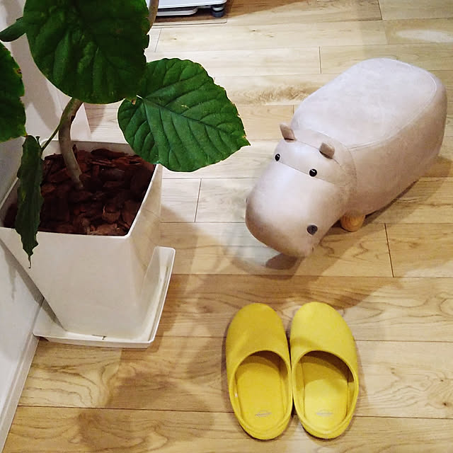 ya-さんの実例写真