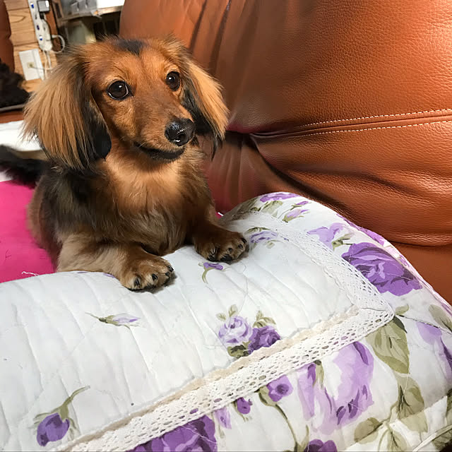 maronさんの実例写真