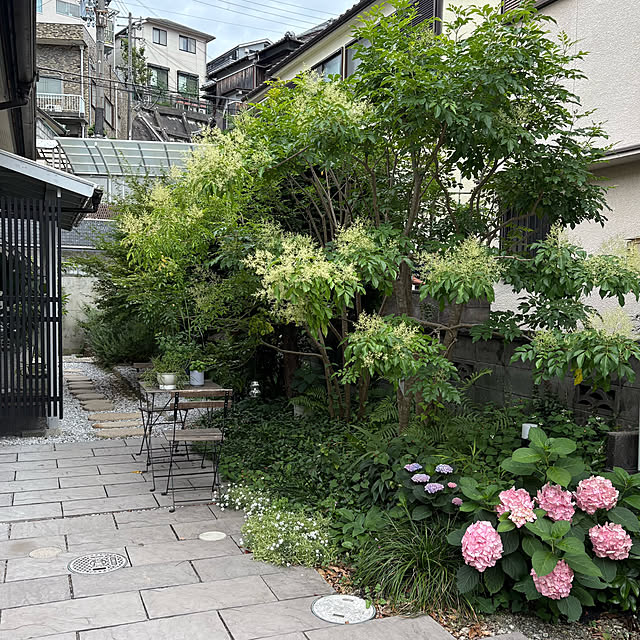kaoriさんの部屋