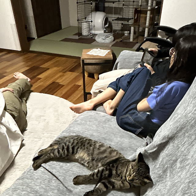 yunyumさんの実例写真