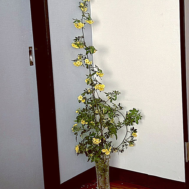 syutmmさんの実例写真