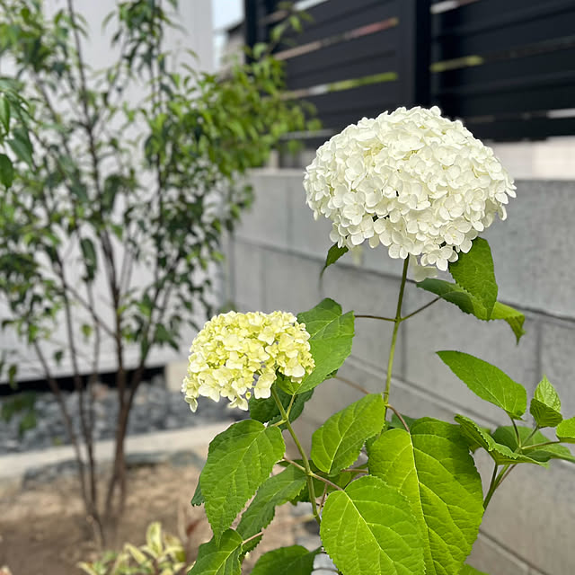take_nokoさんの実例写真