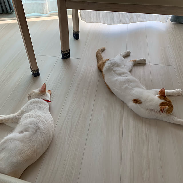 haryu1202さんの実例写真