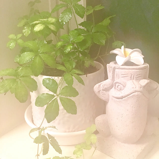aiaiさんの実例写真