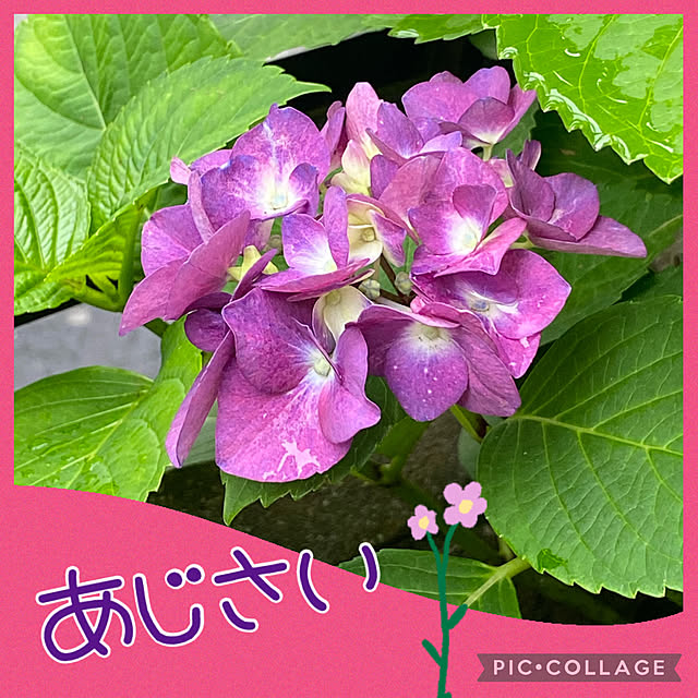 Smilkazuさんの部屋
