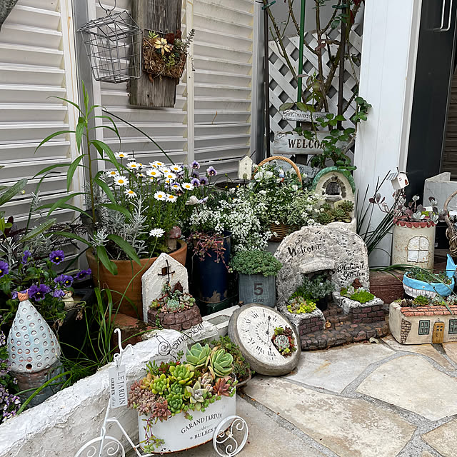 yoko_petitbonheurさんの部屋
