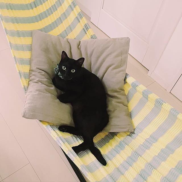 Kaoさんの実例写真