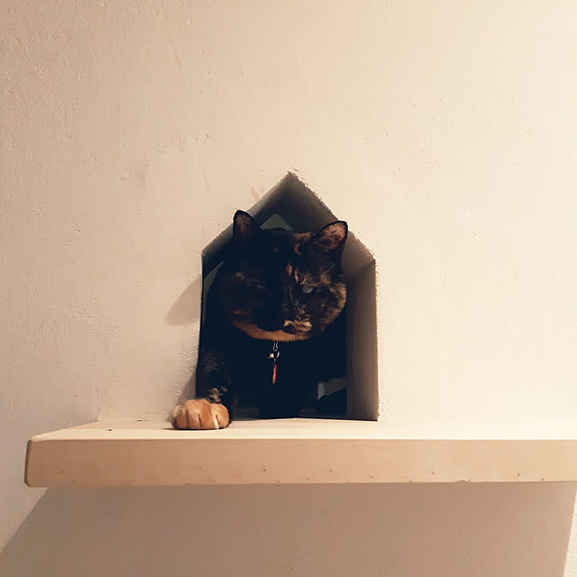 nanoさんの実例写真