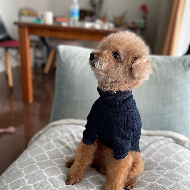 hirorinrinさんの実例写真
