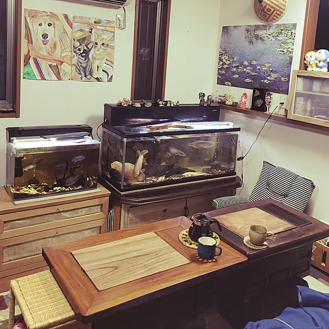 tornadeさんの実例写真