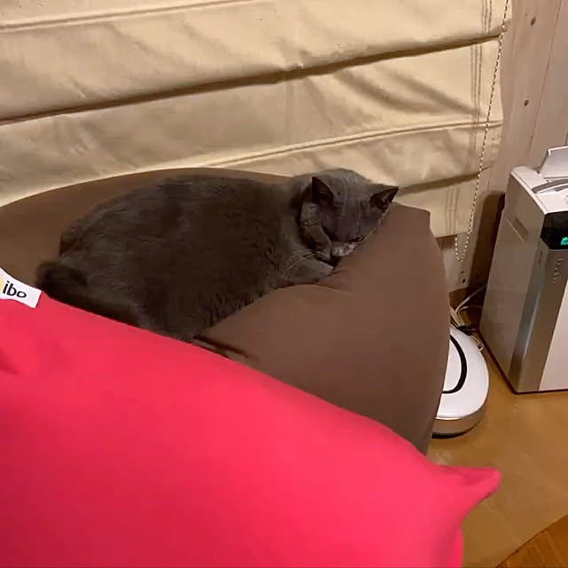 coronさんの実例写真