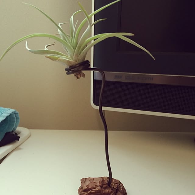 Ryokoさんの実例写真
