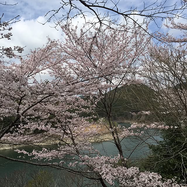 rookuさんの実例写真
