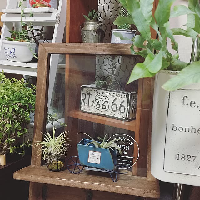reoreomamaさんの実例写真