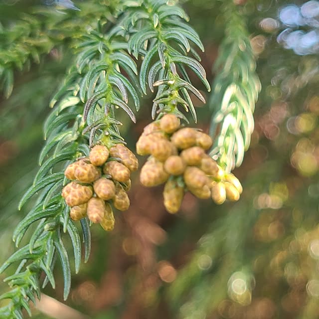 Rubiconさんの部屋