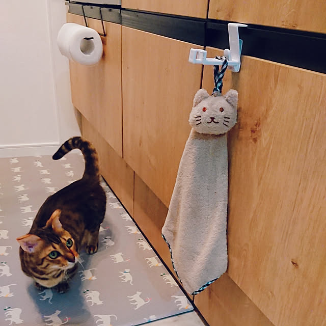 rikiponpanさんの実例写真