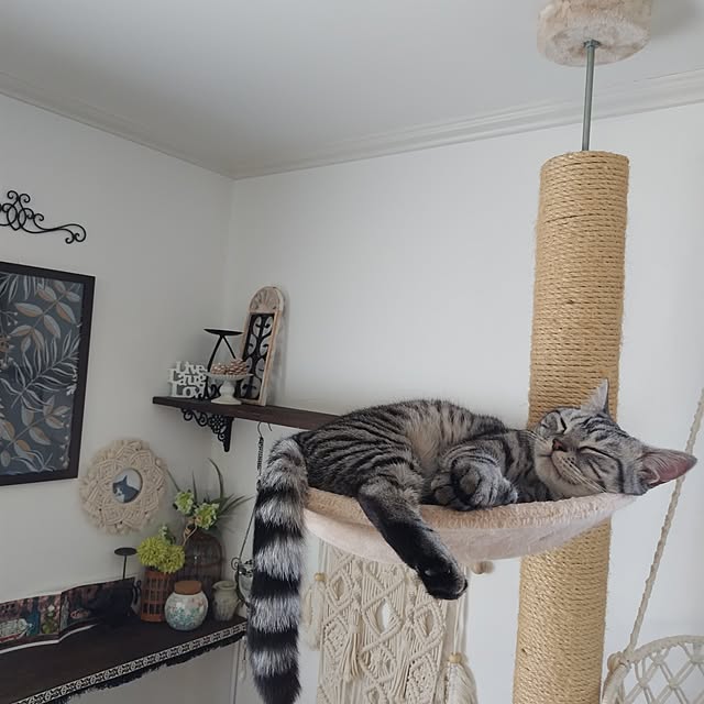 hiro3さんの部屋