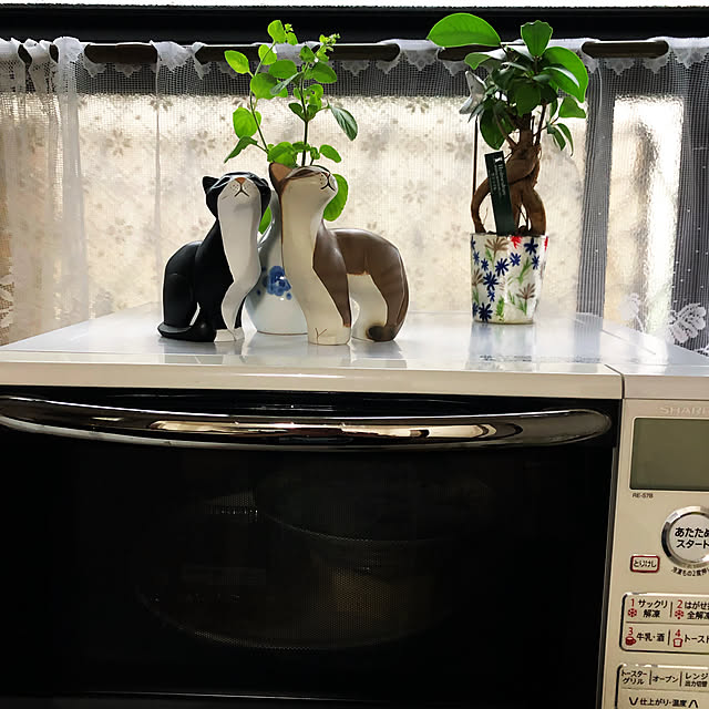hidechanさんの部屋