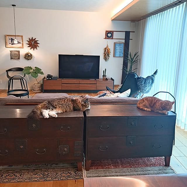 hagyu7kuroさんの部屋