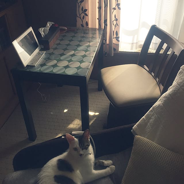 yocchiさんの実例写真