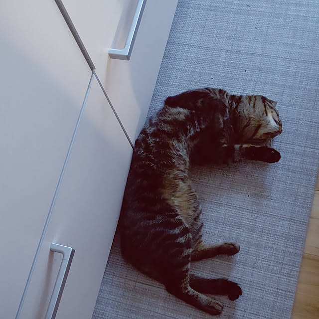 hihaさんの実例写真