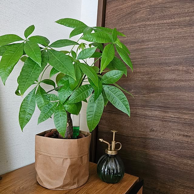 es__baabaさんの部屋