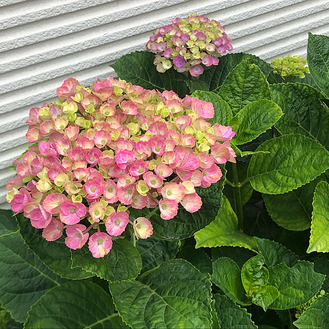w-ask129さんの実例写真