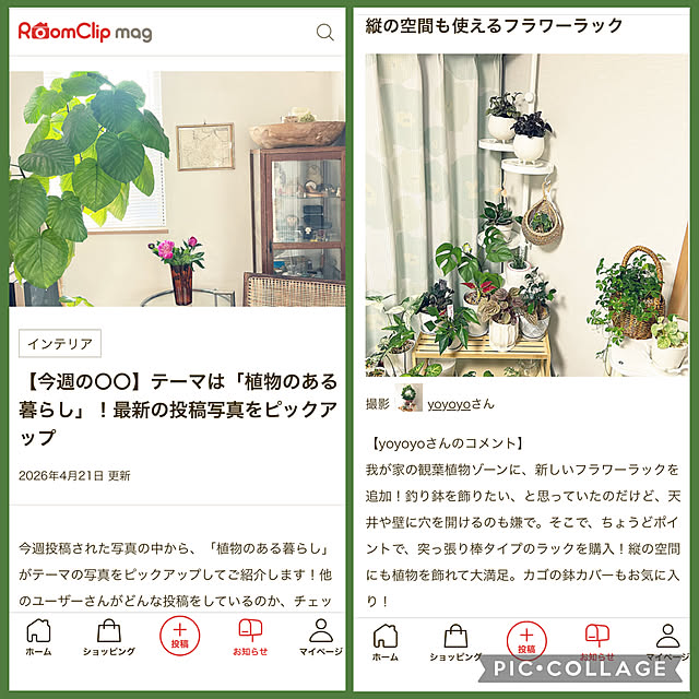 yoyoyoさんの実例写真