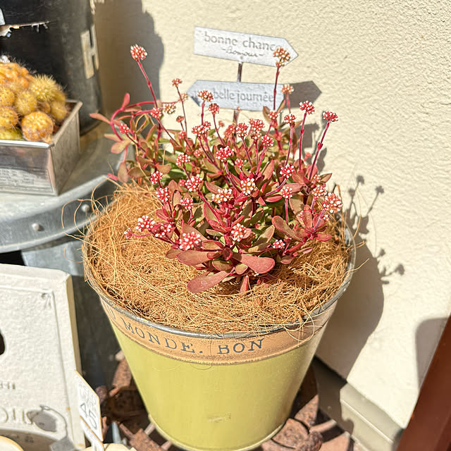 yukkoさんの部屋