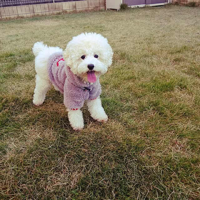 loveさんの実例写真