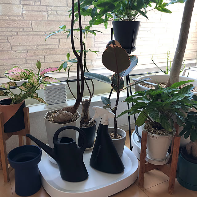 eriさんの部屋