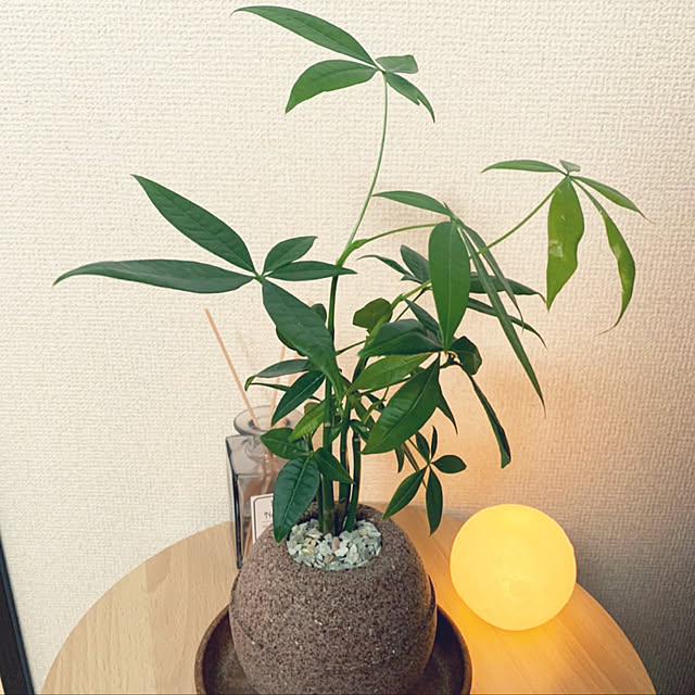 meimeiさんの実例写真