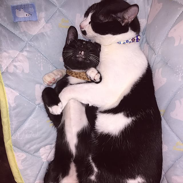 mugiさんの実例写真