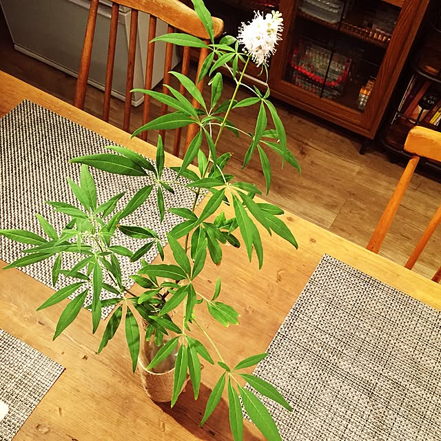 massaさんの実例写真
