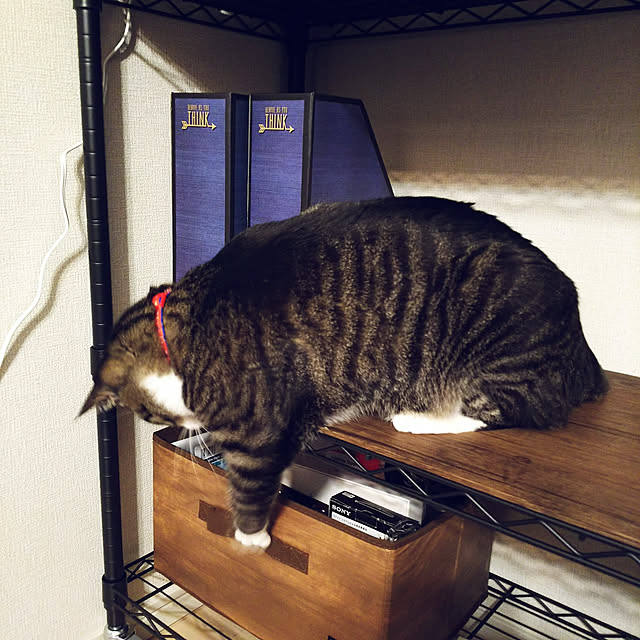 anago106さんの実例写真