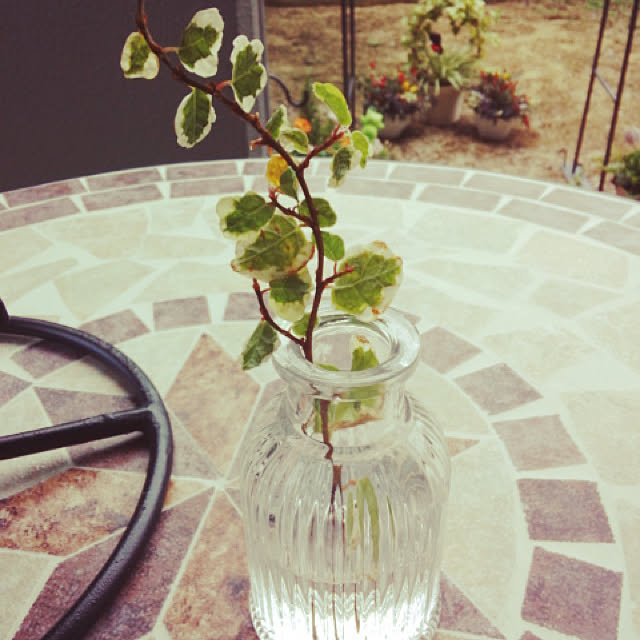 nozominさんの実例写真