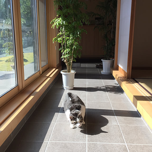 cherryさんの実例写真