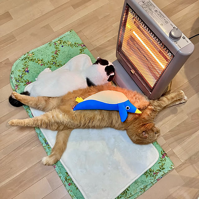 pinaminさんの実例写真