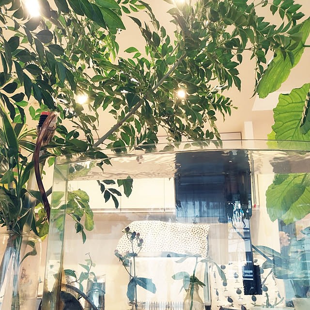 キッチン/心地よい暮らし/こどもと暮らす。/7人家族/心地よい暮らしを目指して...などのインテリア実例 - 2022-11-30 14:23:09